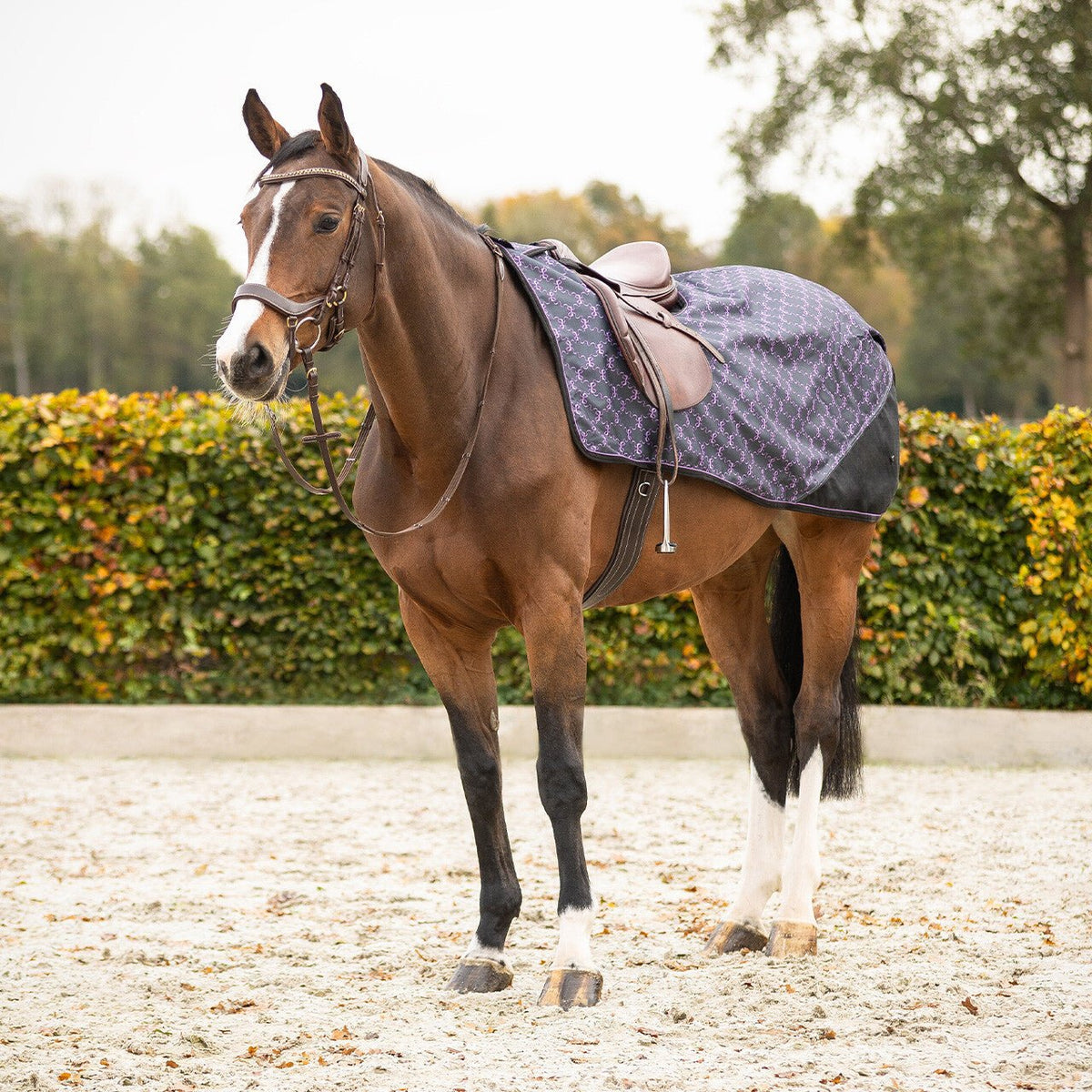 Exercise Sheet 1200D Turnout Collection Fleece - Nags Essentials