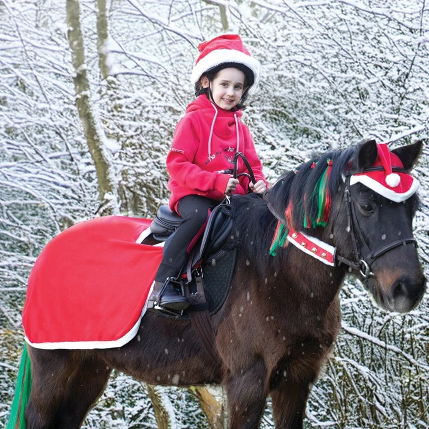 Santa Festive Horse Quarter Sheet