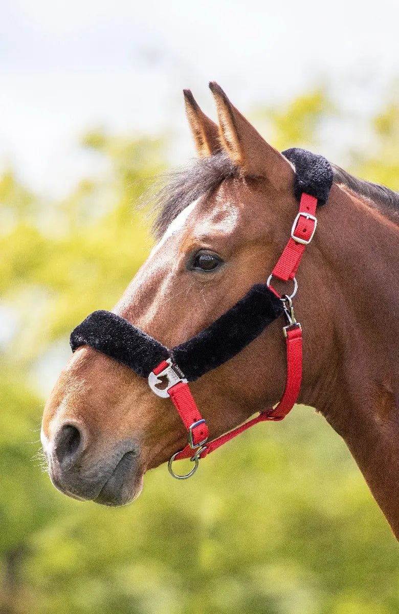 Fleece Lined Headcollar - Nags Essentials