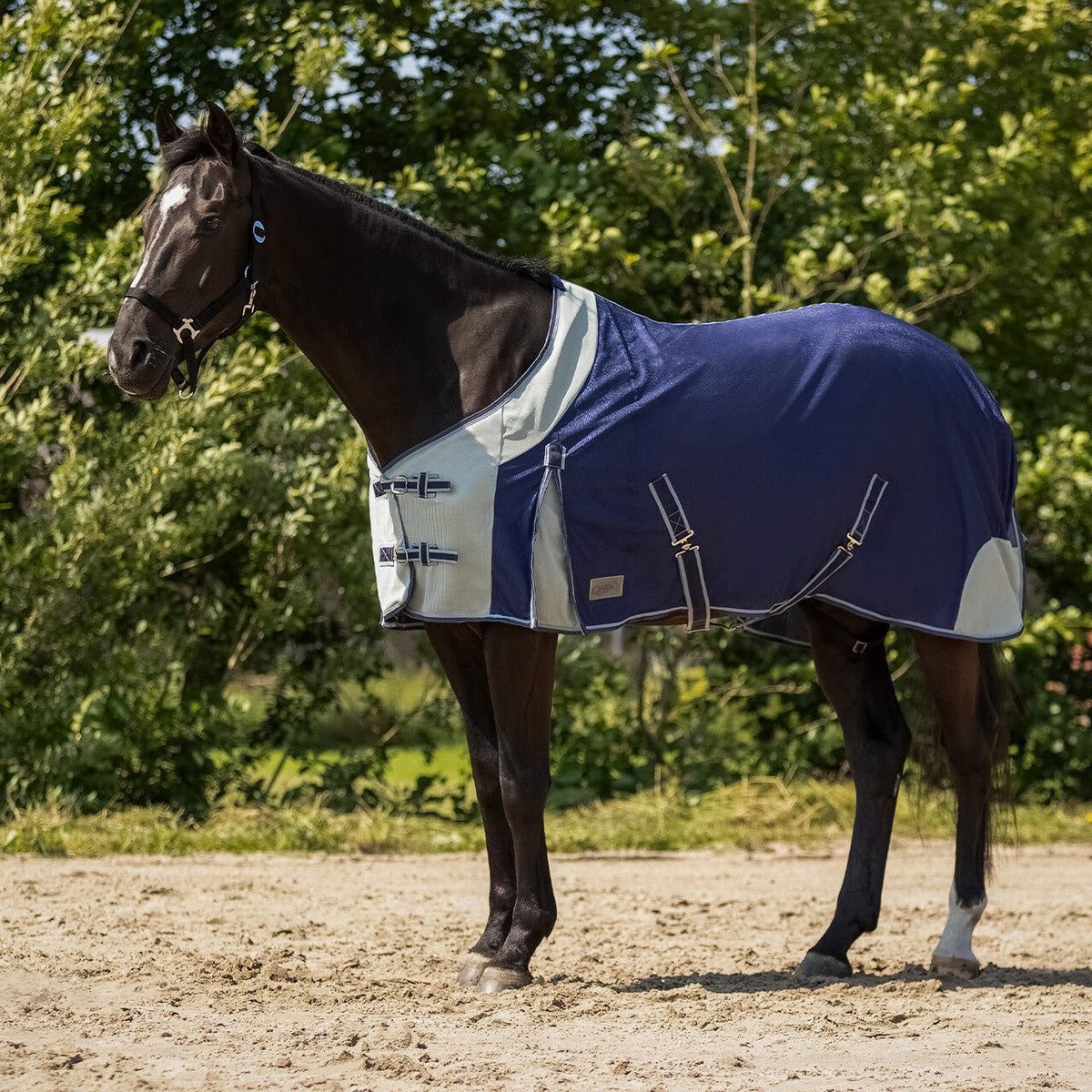Fly rug - Nags Essentials