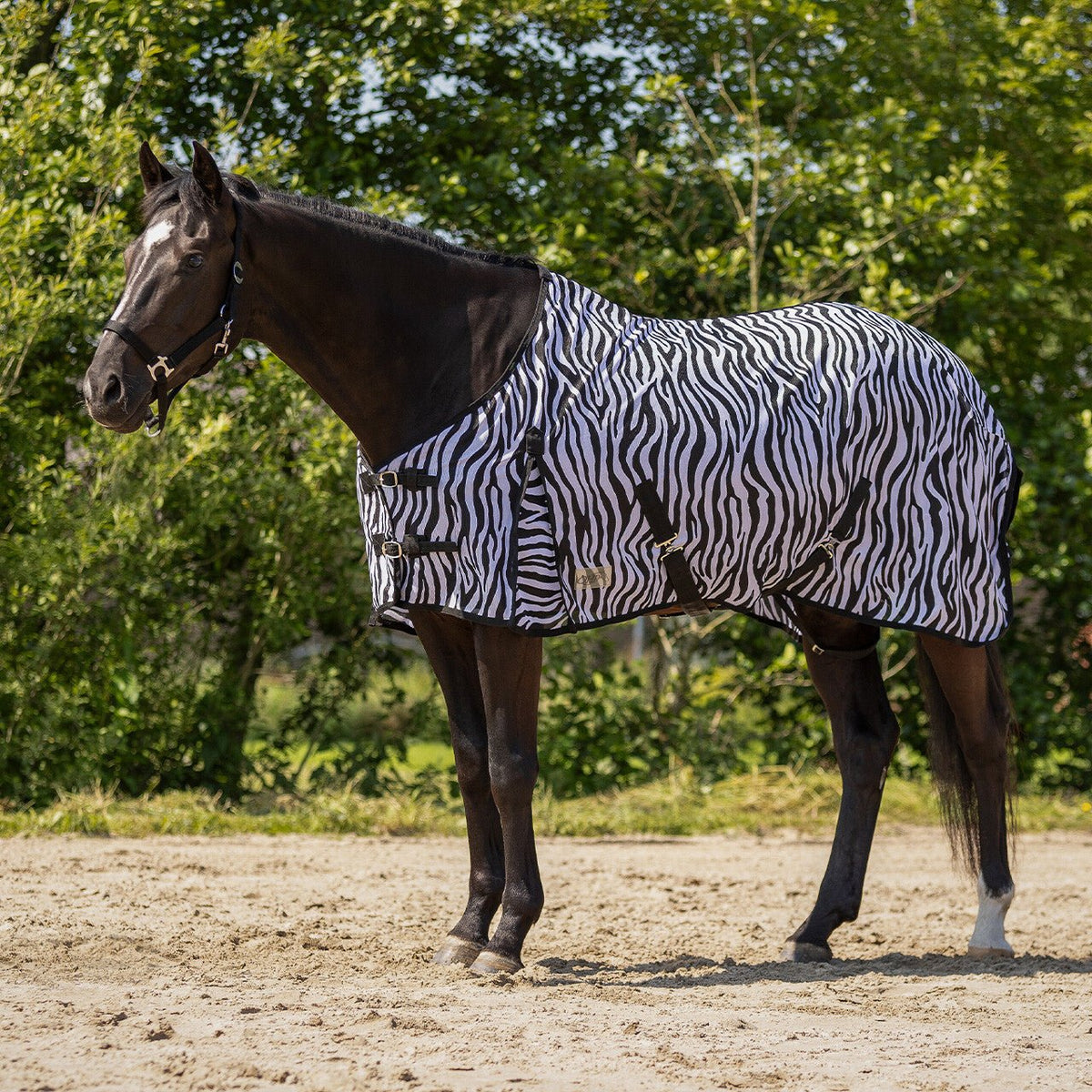 Fly rug - Nags Essentials