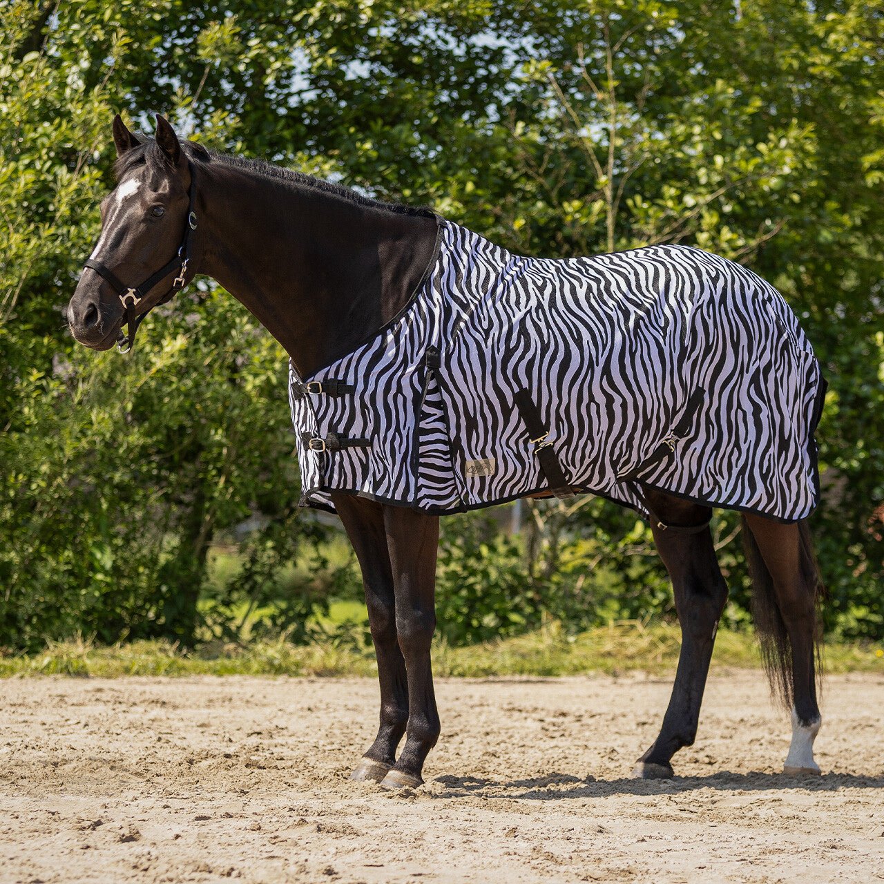 Fly rug - Nags Essentials