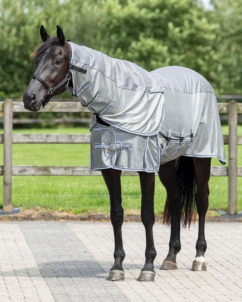 Fly rug Combo with neck - Nags Essentials