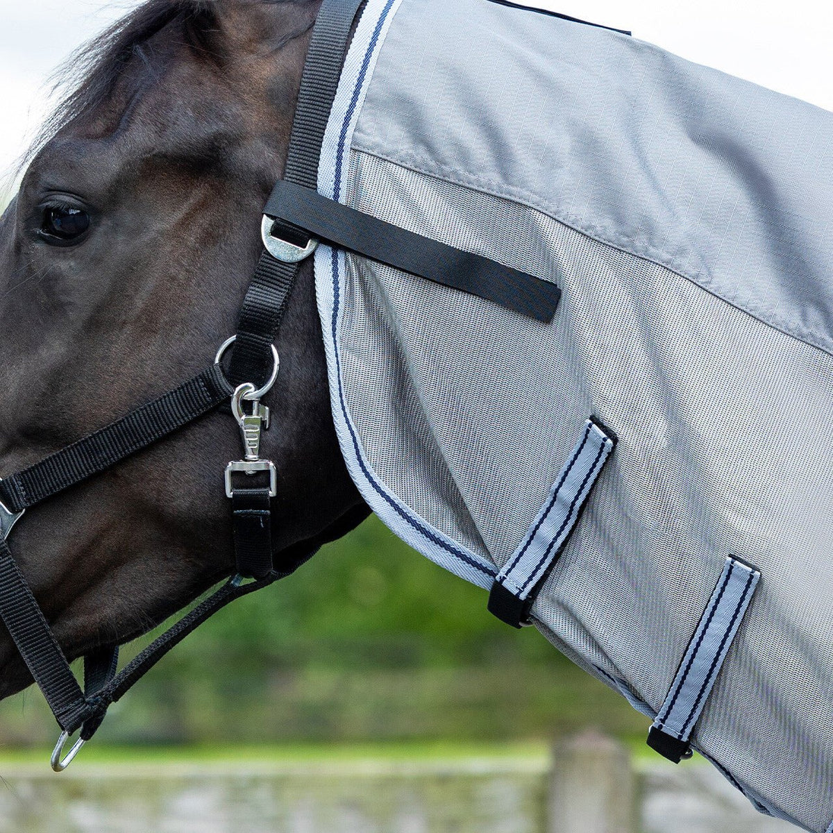 Fly rug Combo with neck - Nags Essentials