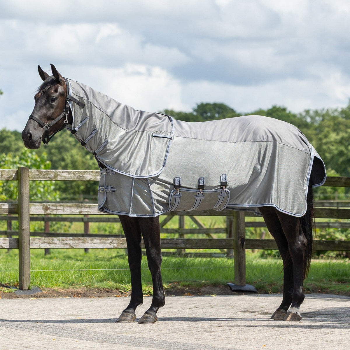 Fly rug Combo with neck - Nags Essentials