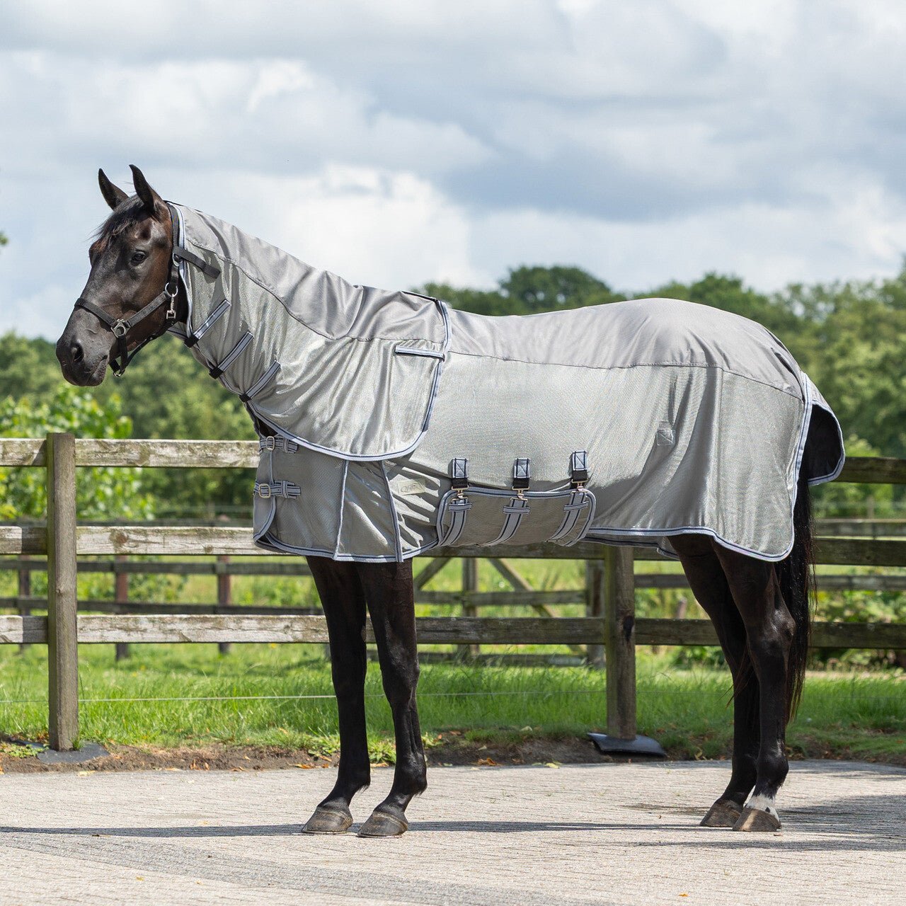 Fly rug Combo with neck - Nags Essentials
