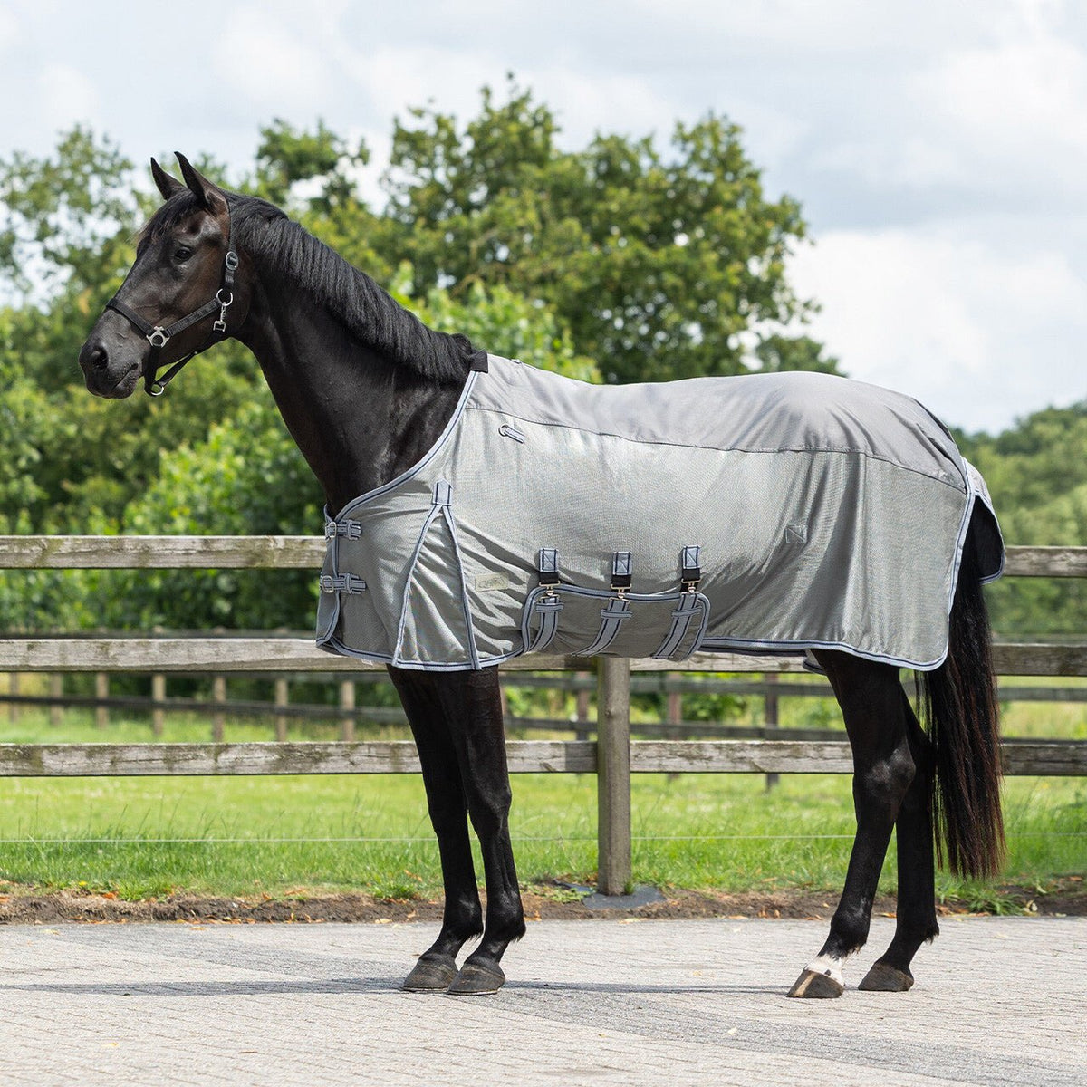 Fly rug Combo with neck - Nags Essentials