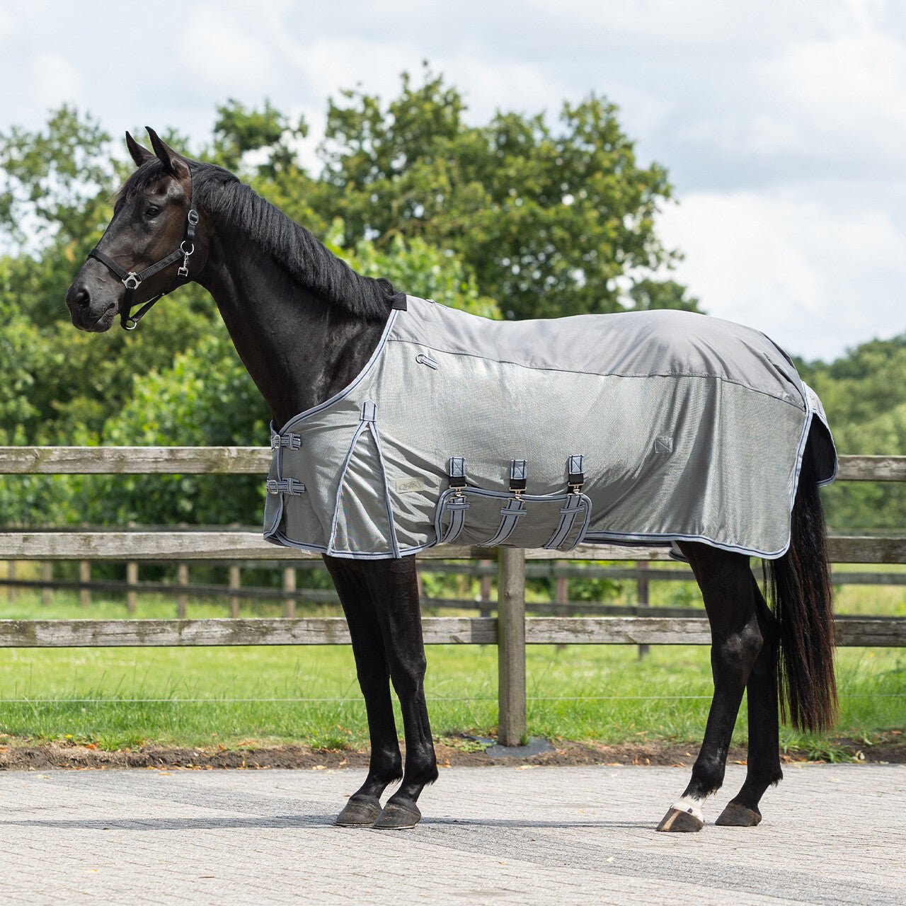 Fly rug Combo with neck - Nags Essentials