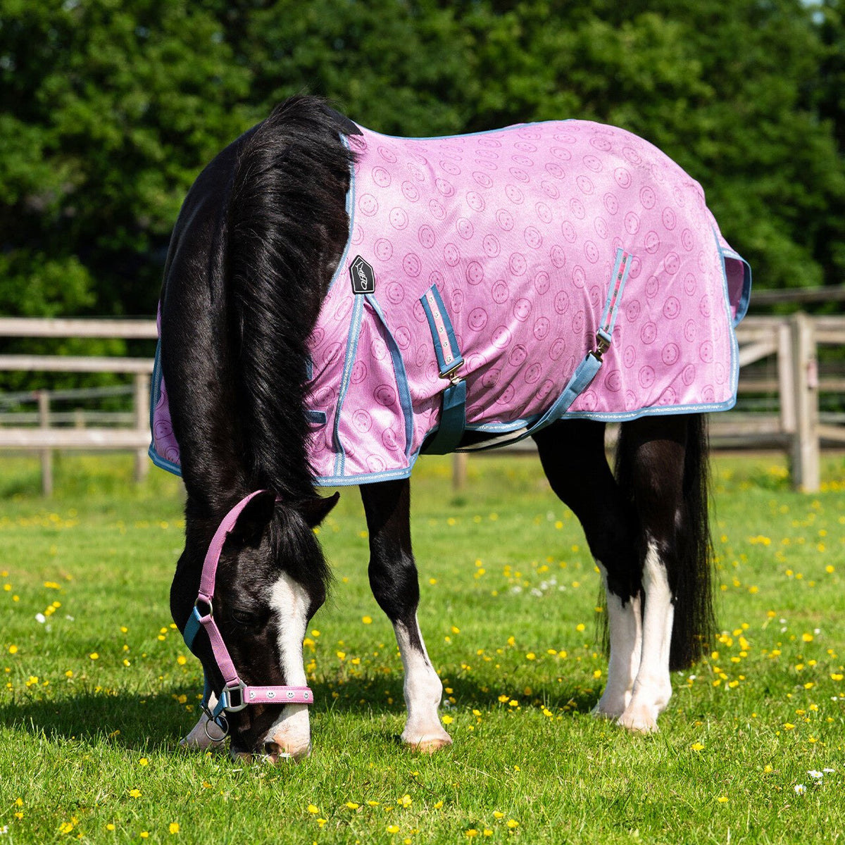 Fly Sheet - Rosalynn - Nags Essentials