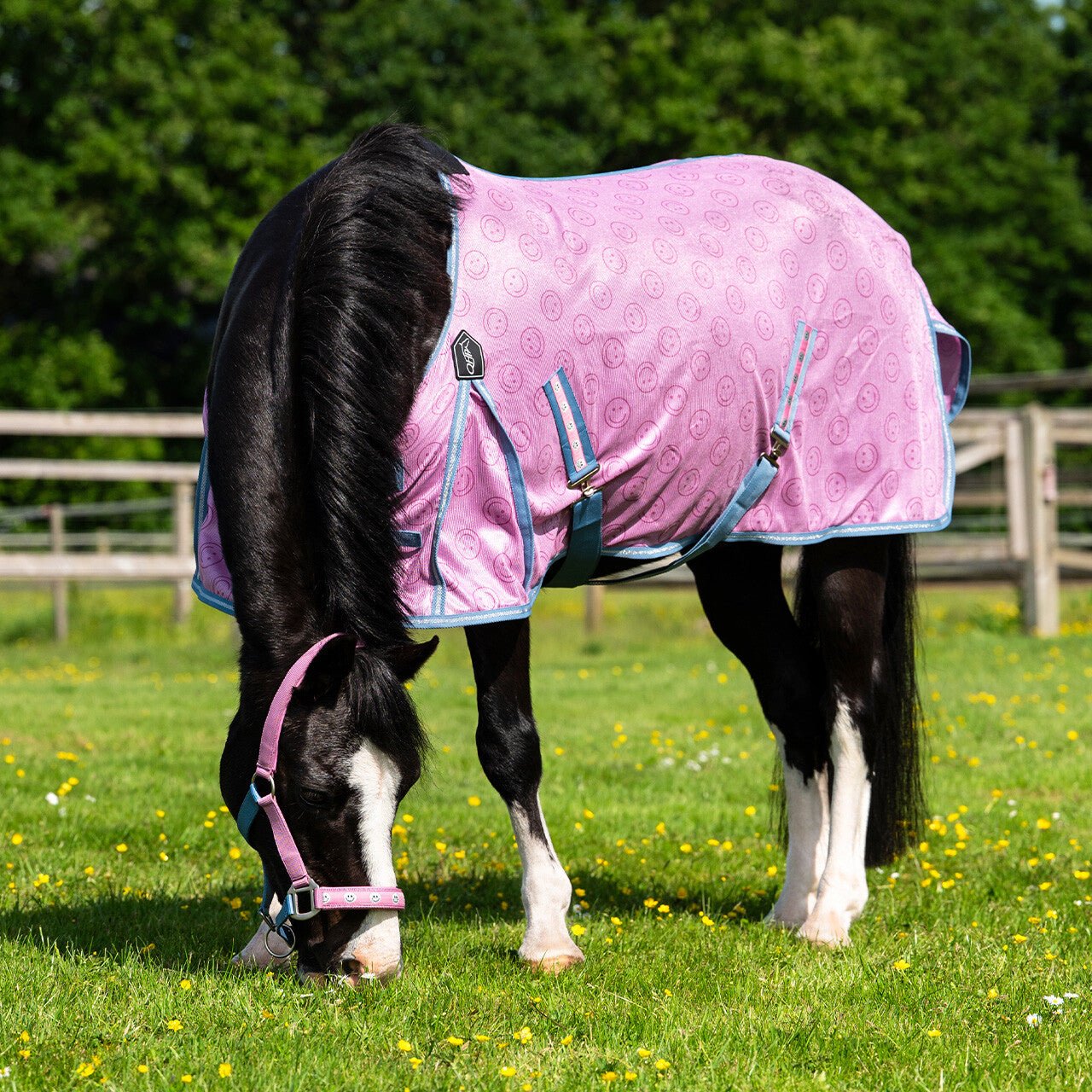 Fly Sheet - Rosalynn - Nags Essentials