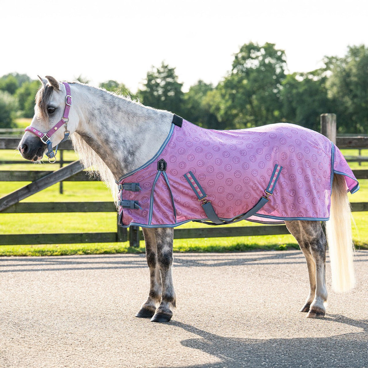 Fly Sheet - Rosalynn - Nags Essentials