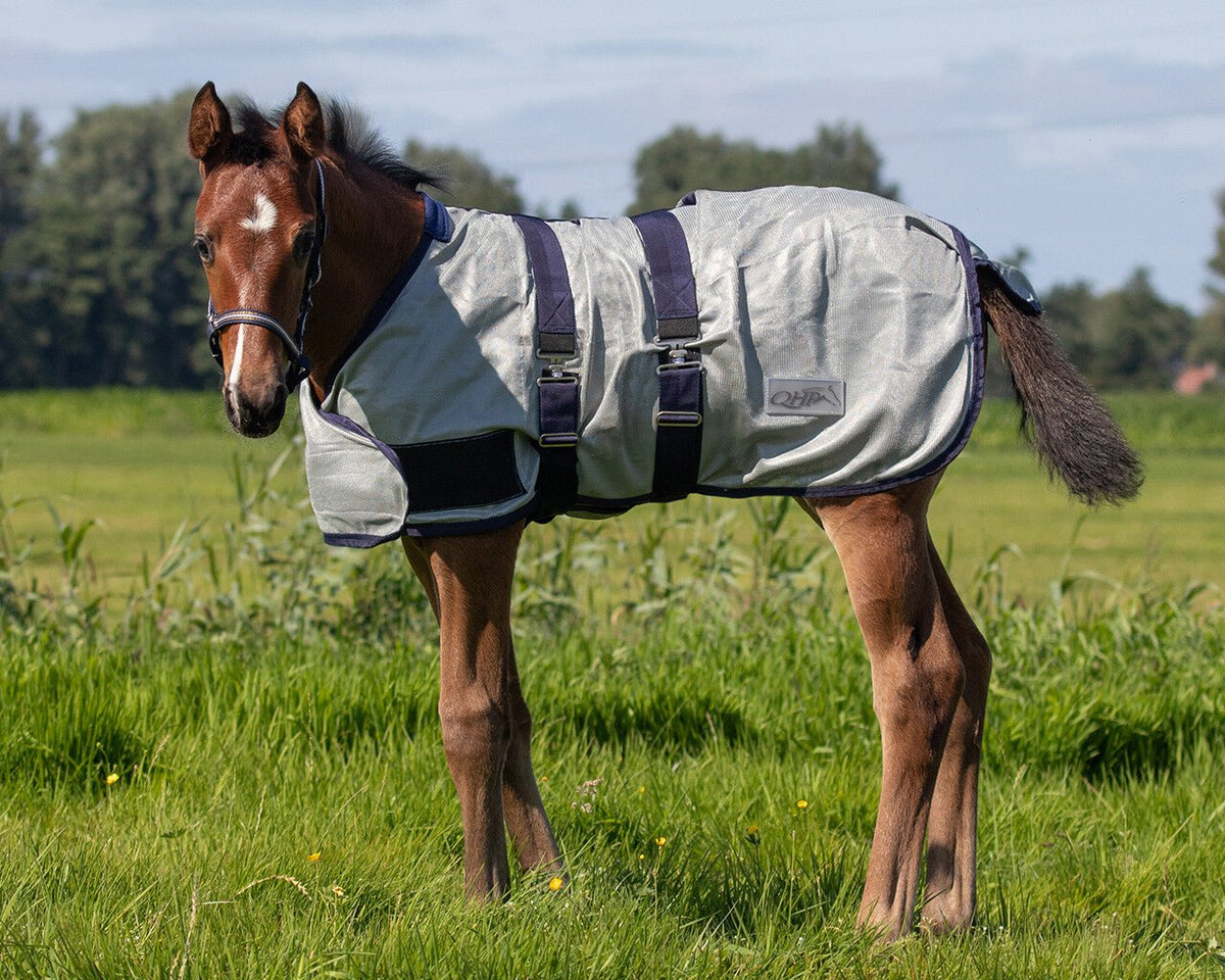 Foal Fly Rug - Nags Essentials