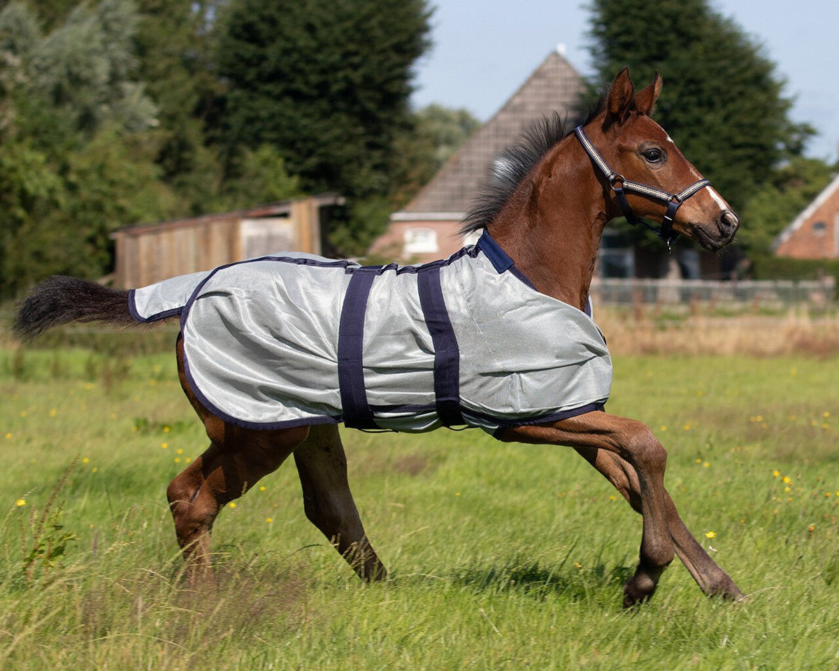 Foal Fly Rug - Nags Essentials