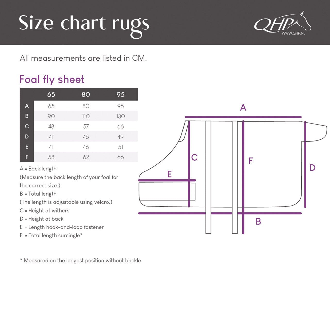 Foal Fly Rug - Nags Essentials