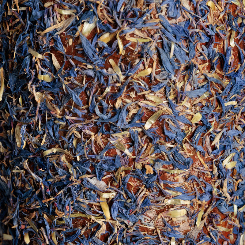 Grooming Deluxe Wooden Relax Horse Toy – Freedom