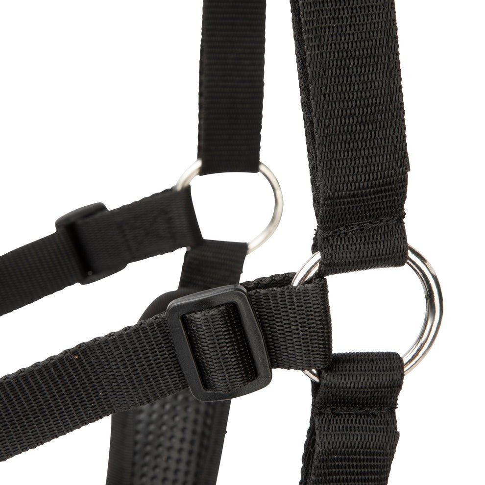Freegraze Airflow Grazing Muzzle - Nags Essentials