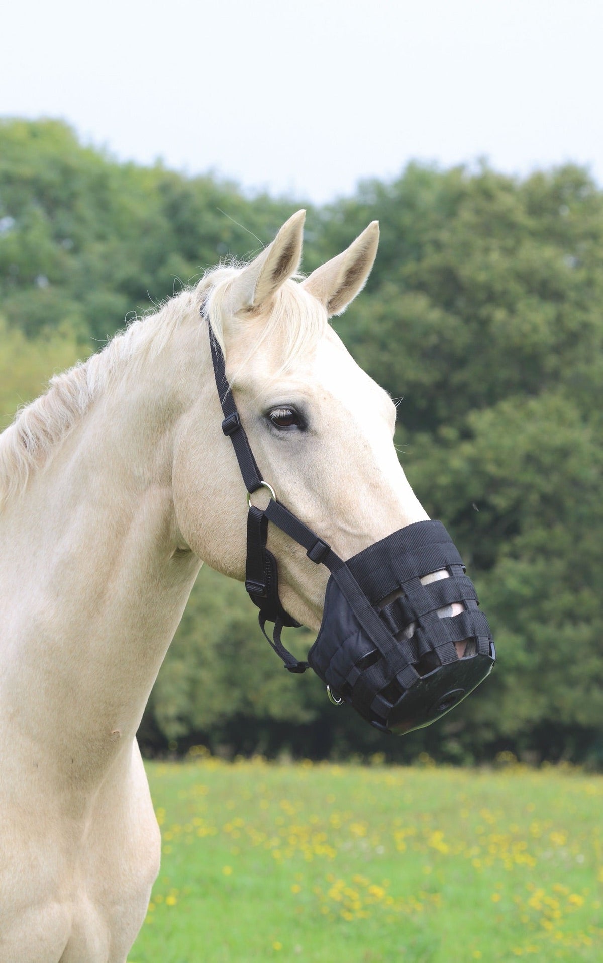 FreeGraze Comfort Grazing Muzzle - Nags Essentials