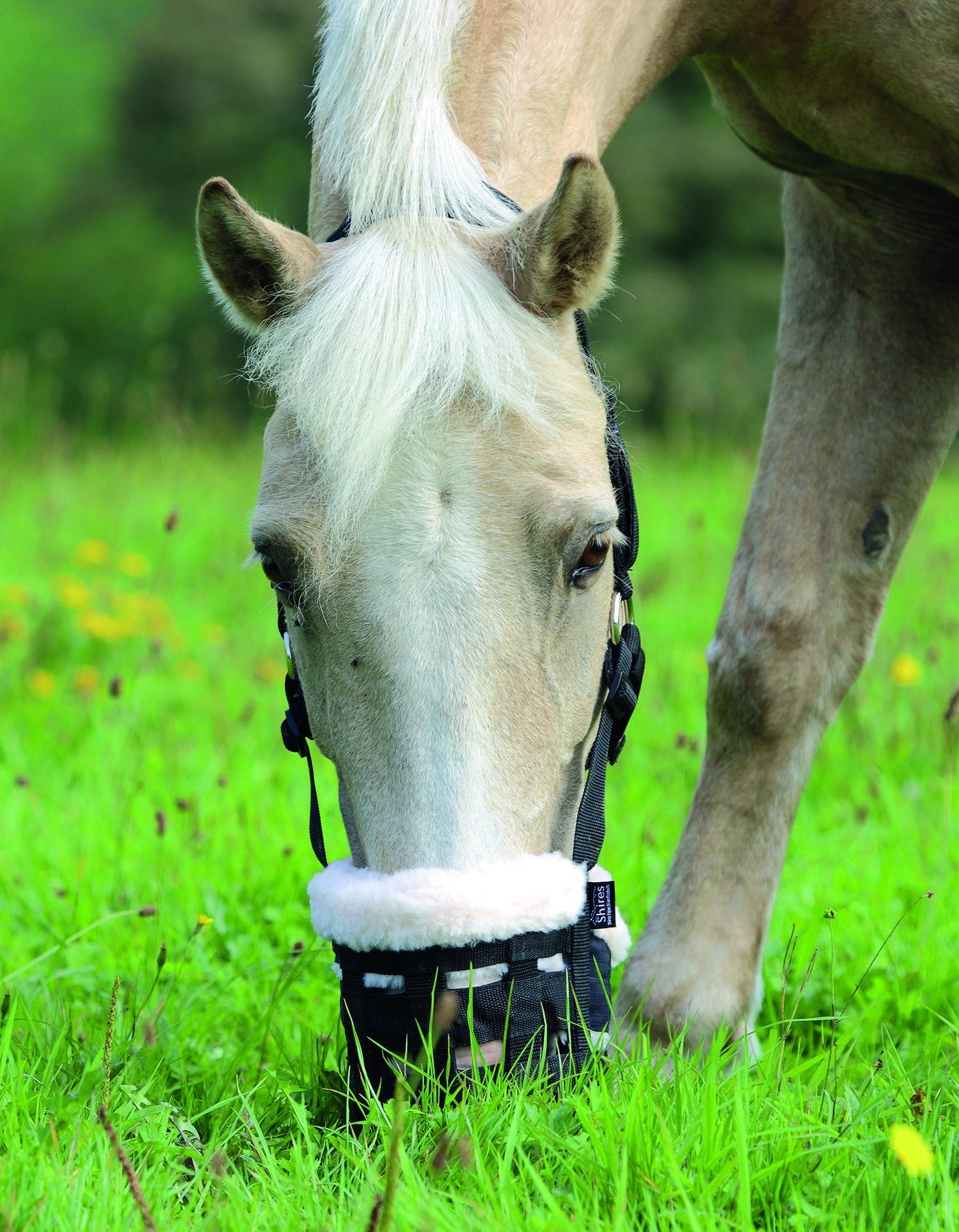 FreeGraze Deluxe Comfort Grazing Muzzle - Nags Essentials