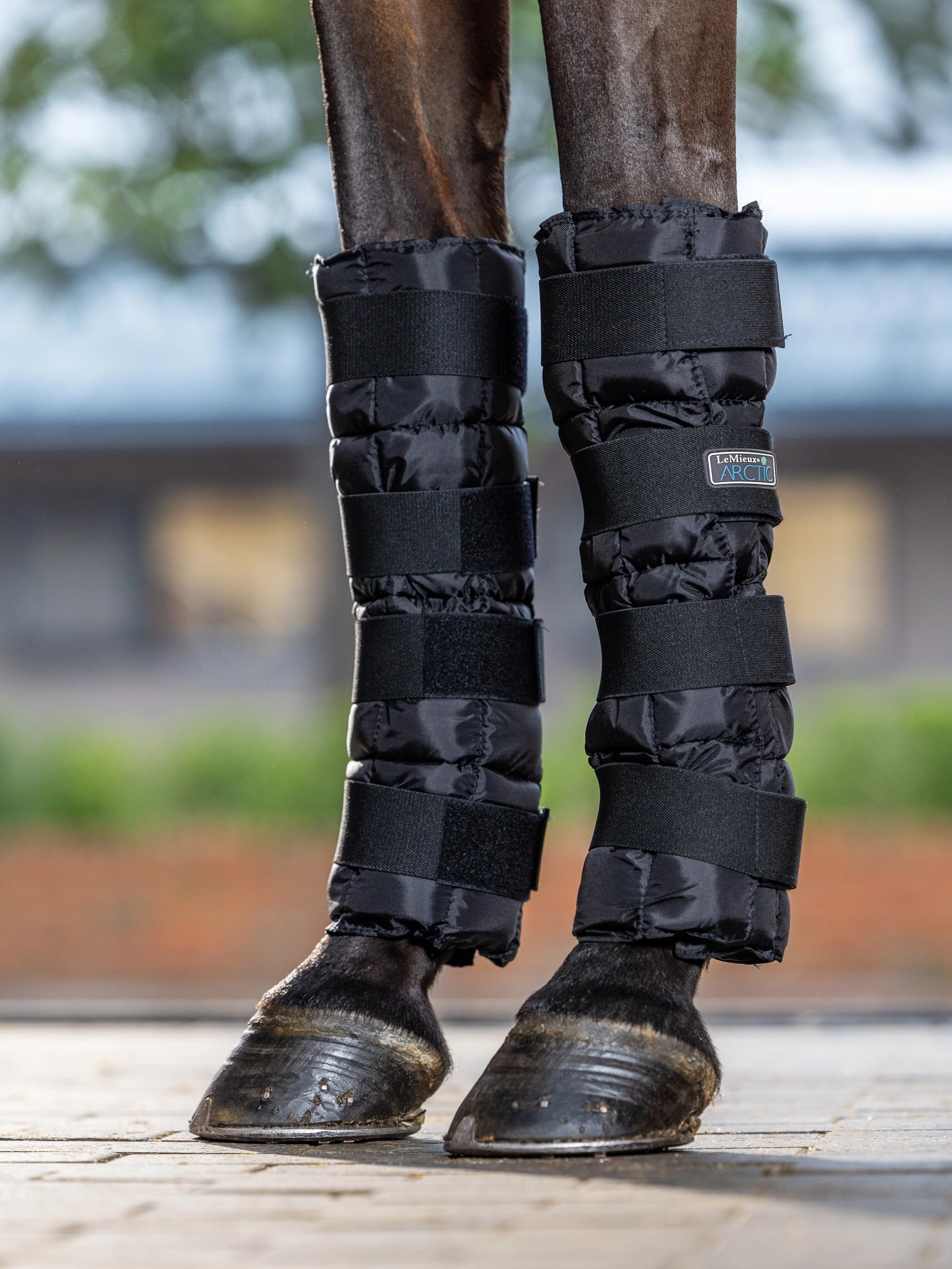 LeMieux Arctic Ice Boots (Pair)