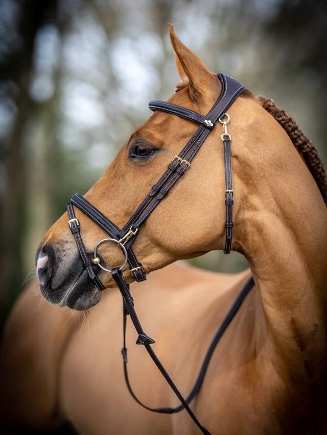 Lemieux Kudos Work Bridle