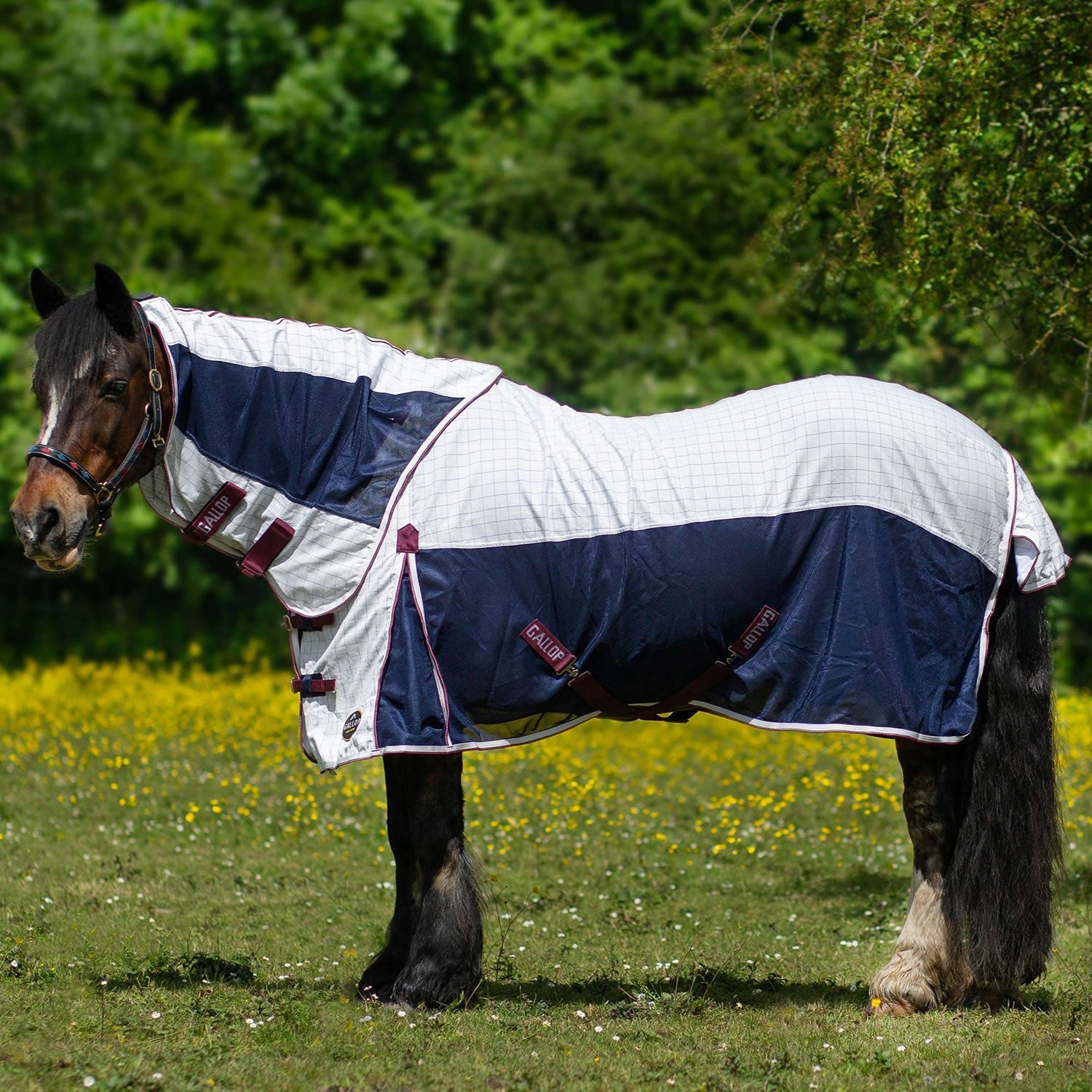 Gallop Air Mesh Detachable Cooler White - Nags Essentials