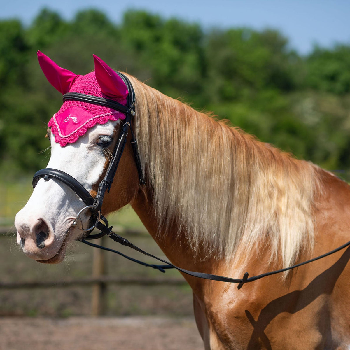 Gallop Classic Ear Veil - Nags Essentials