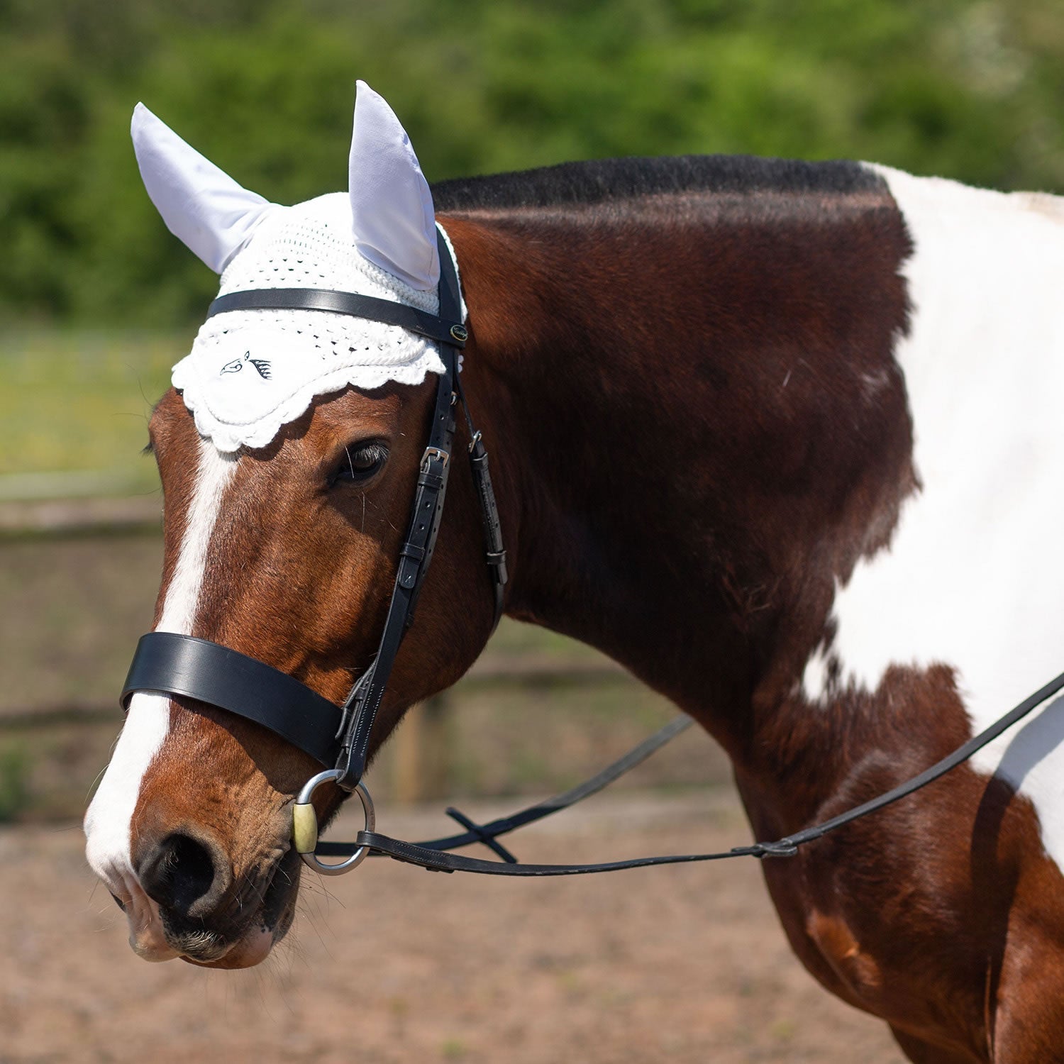 Gallop Classic Ear Veil - Nags Essentials