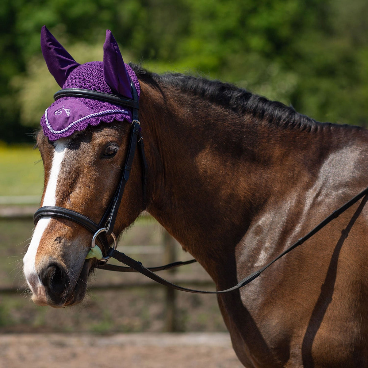 Gallop Classic Ear Veil - Nags Essentials
