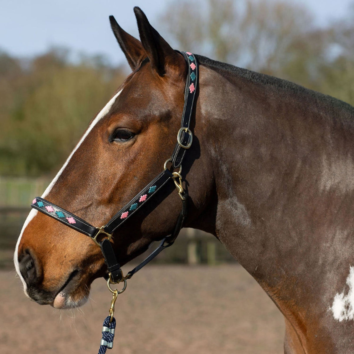 Gallop Diamond Padded Leather Headcollar - Nags Essentials