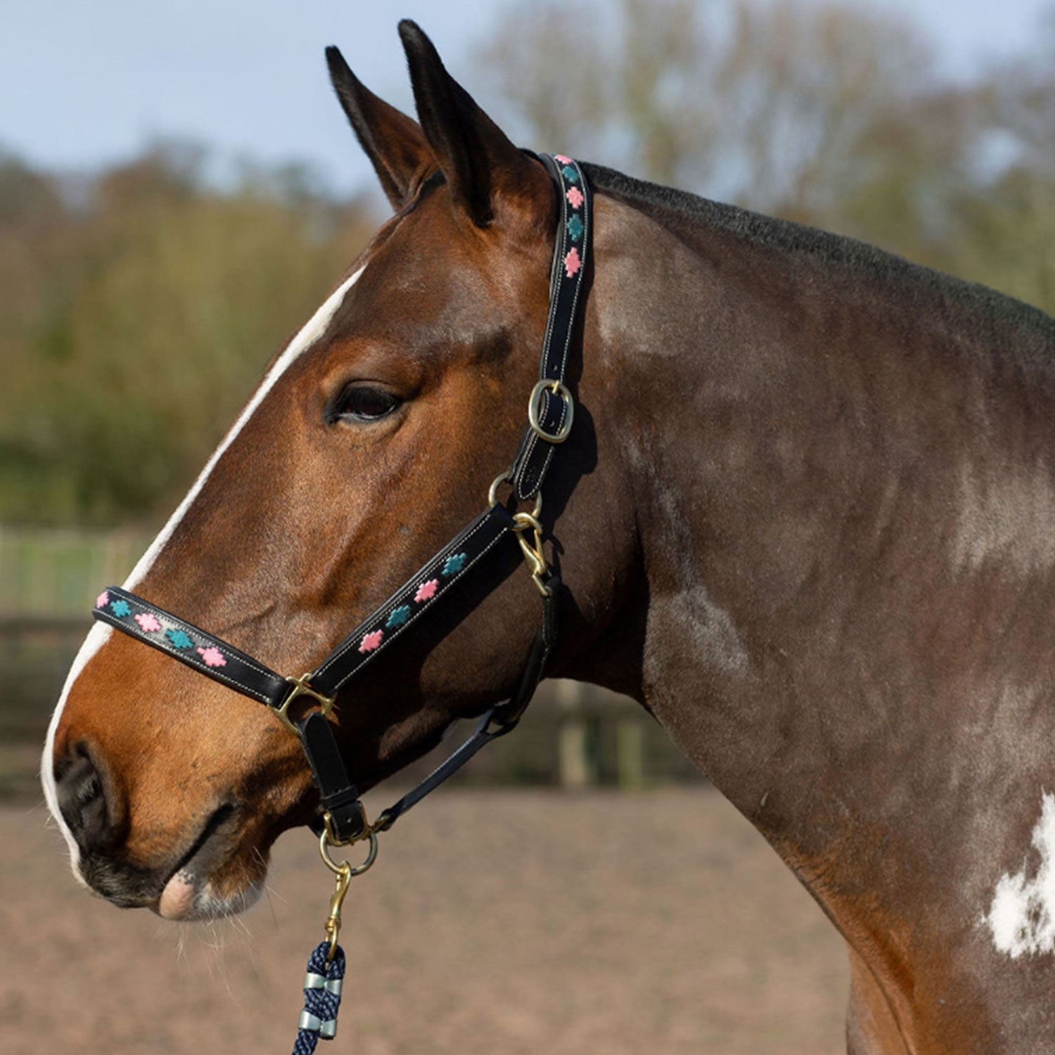 Gallop Diamond Padded Leather Headcollar - Nags Essentials