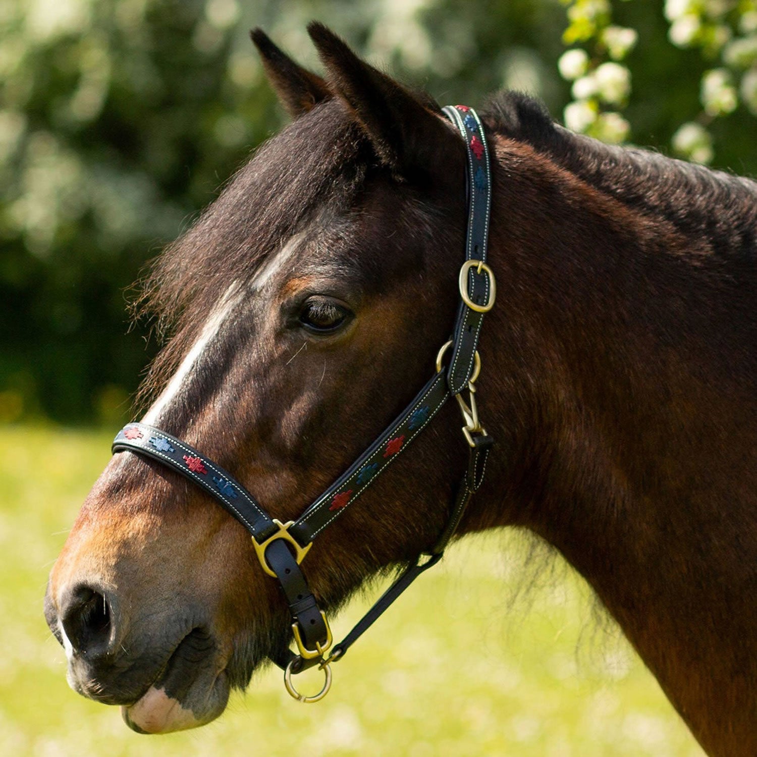 Gallop Diamond Padded Leather Headcollar - Nags Essentials