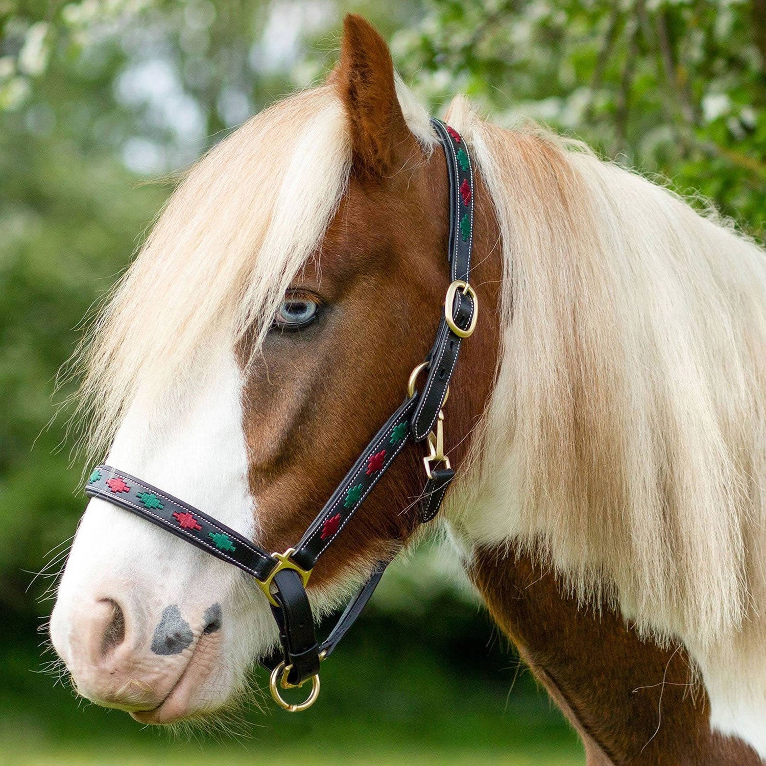 Gallop Diamond Padded Leather Headcollar - Nags Essentials
