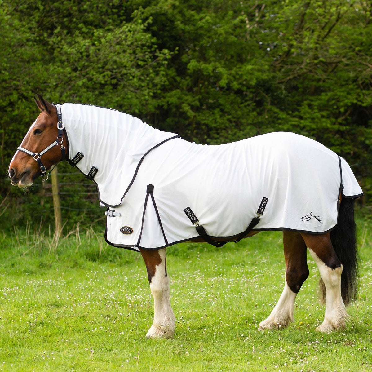Gallop Dual 5 - Point Fly Rug &amp; Neck Set White - Nags Essentials