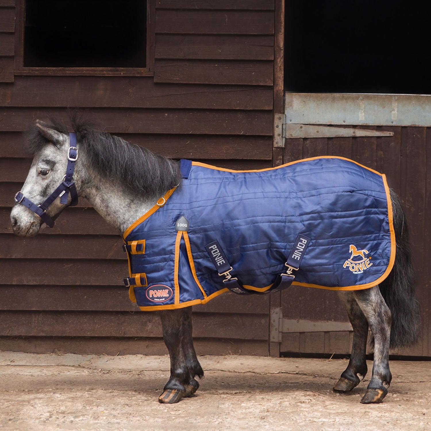 Gallop Ponie 100g Stable Rug Navy - Nags Essentials