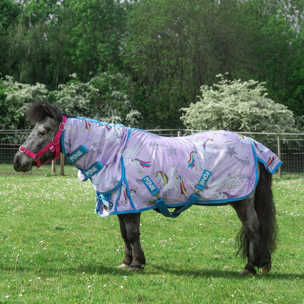 Gallop Ponie Combo Mesh Fly Rug Pegacorn - Nags Essentials