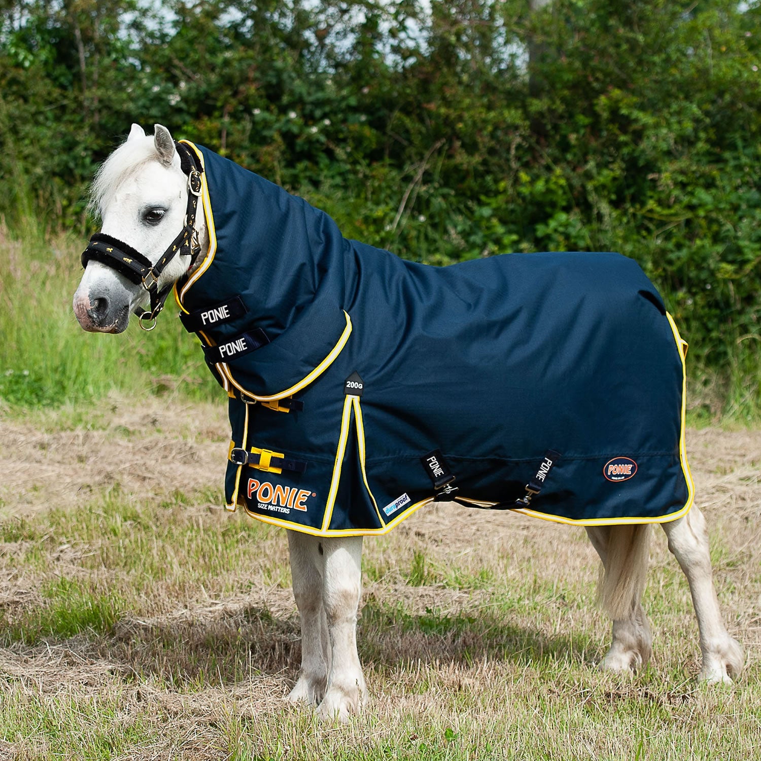 Gallop Ponie Duraproof 200g Turnout Combo - Navy - Nags Essentials