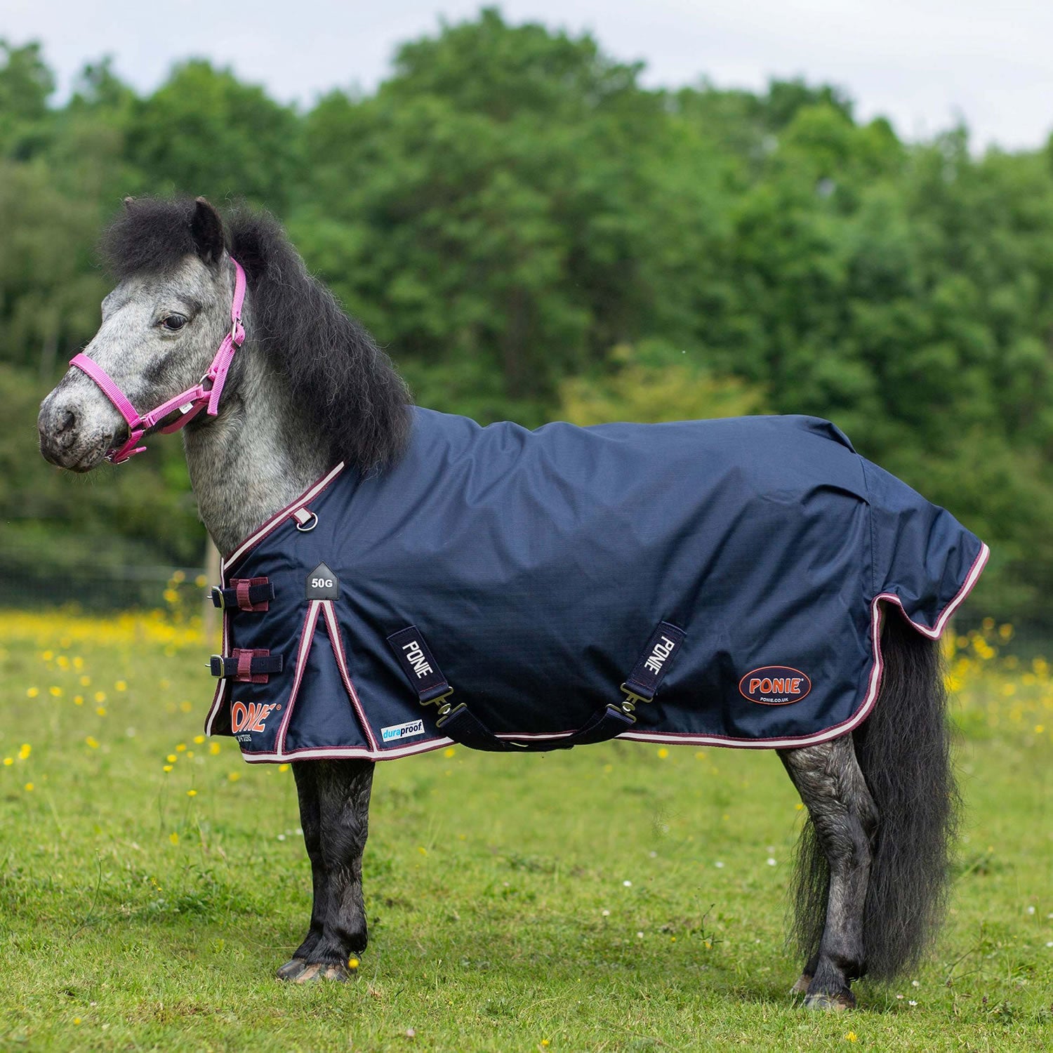 Gallop Ponie Duraproof 50g 5 - Point Standard Neck Turnout - Navy - Nags Essentials