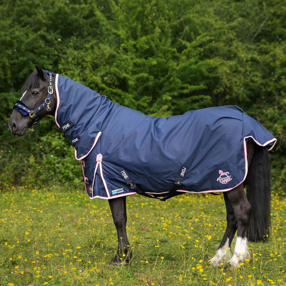 Gallop Ponie Duraproof 50g Turnout Combo - Navy - Nags Essentials