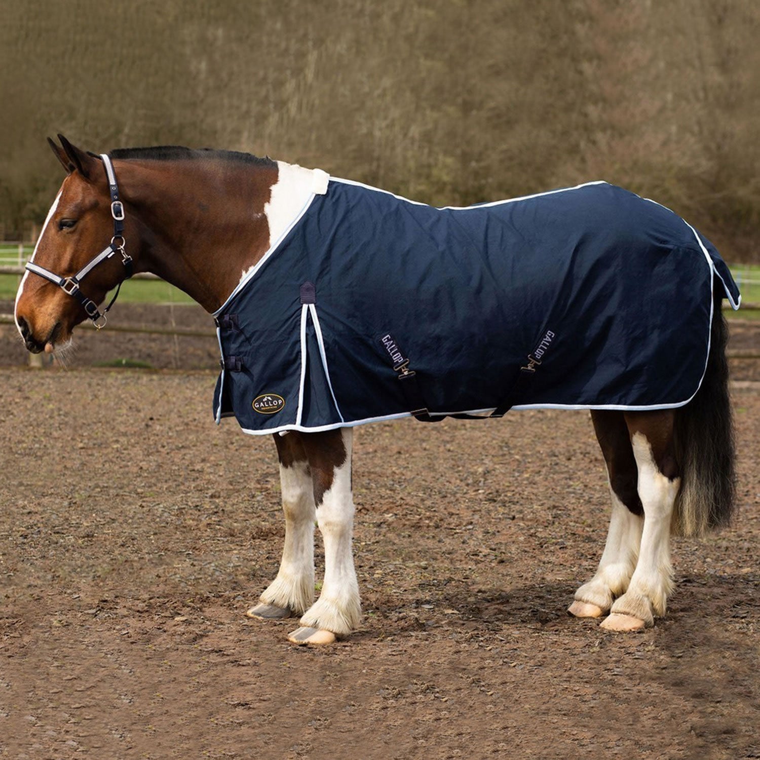 Gallop Summer Sheet - Nags Essentials