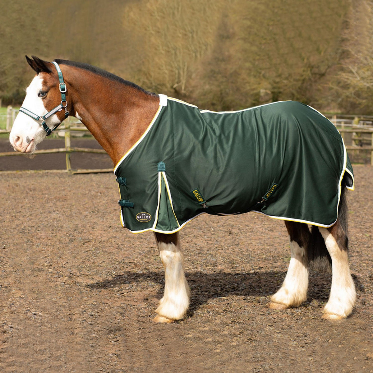 Gallop Summer Sheet - Nags Essentials