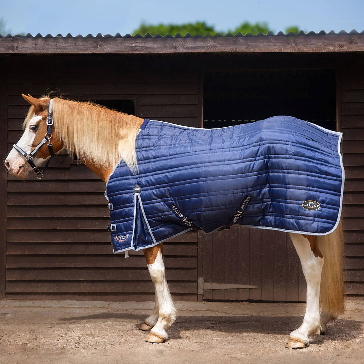 Gallop Trojan 300g Stable Rug - Navy - Nags Essentials