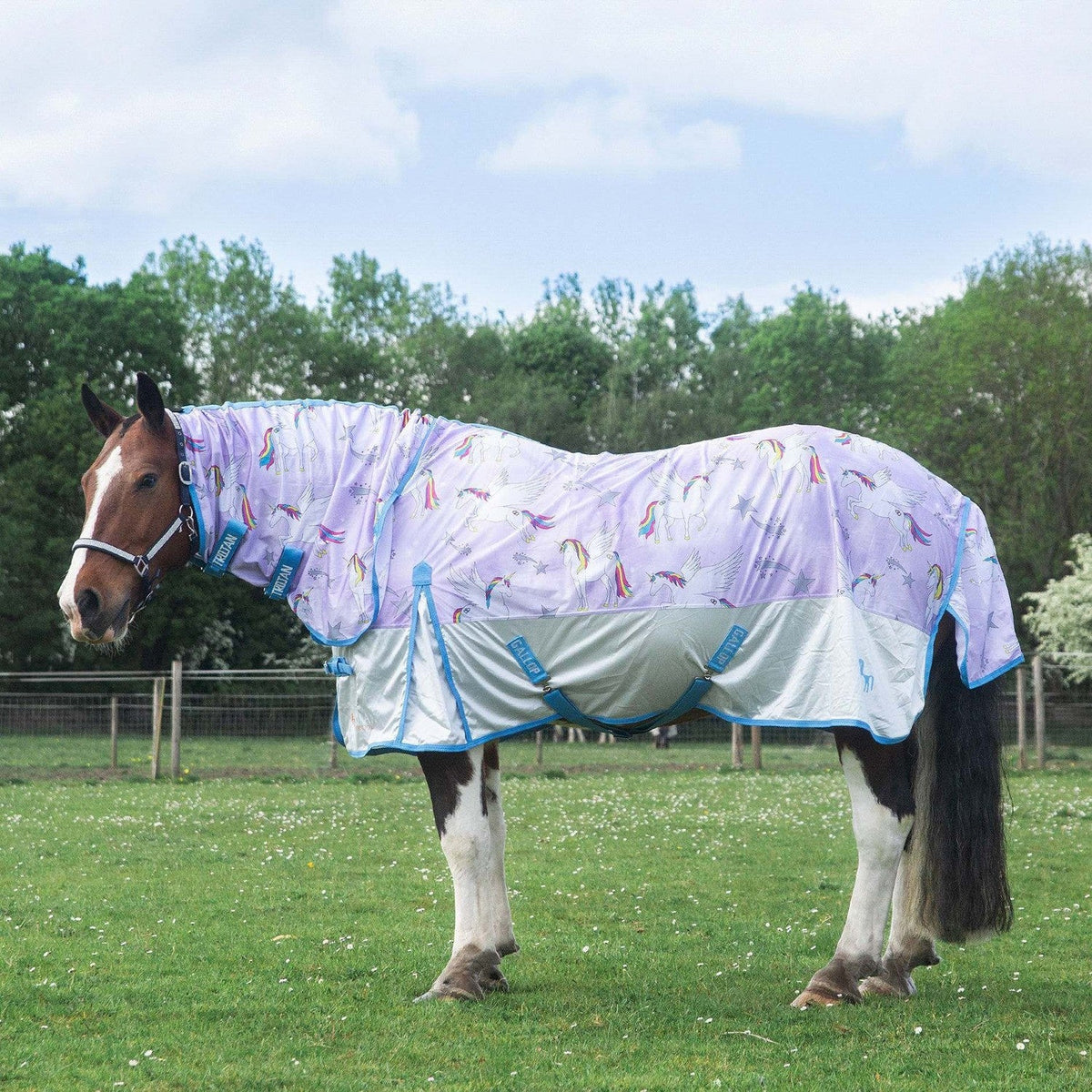 Gallop Trojan Combo Mesh Fly Rug Pegacorn - Nags Essentials