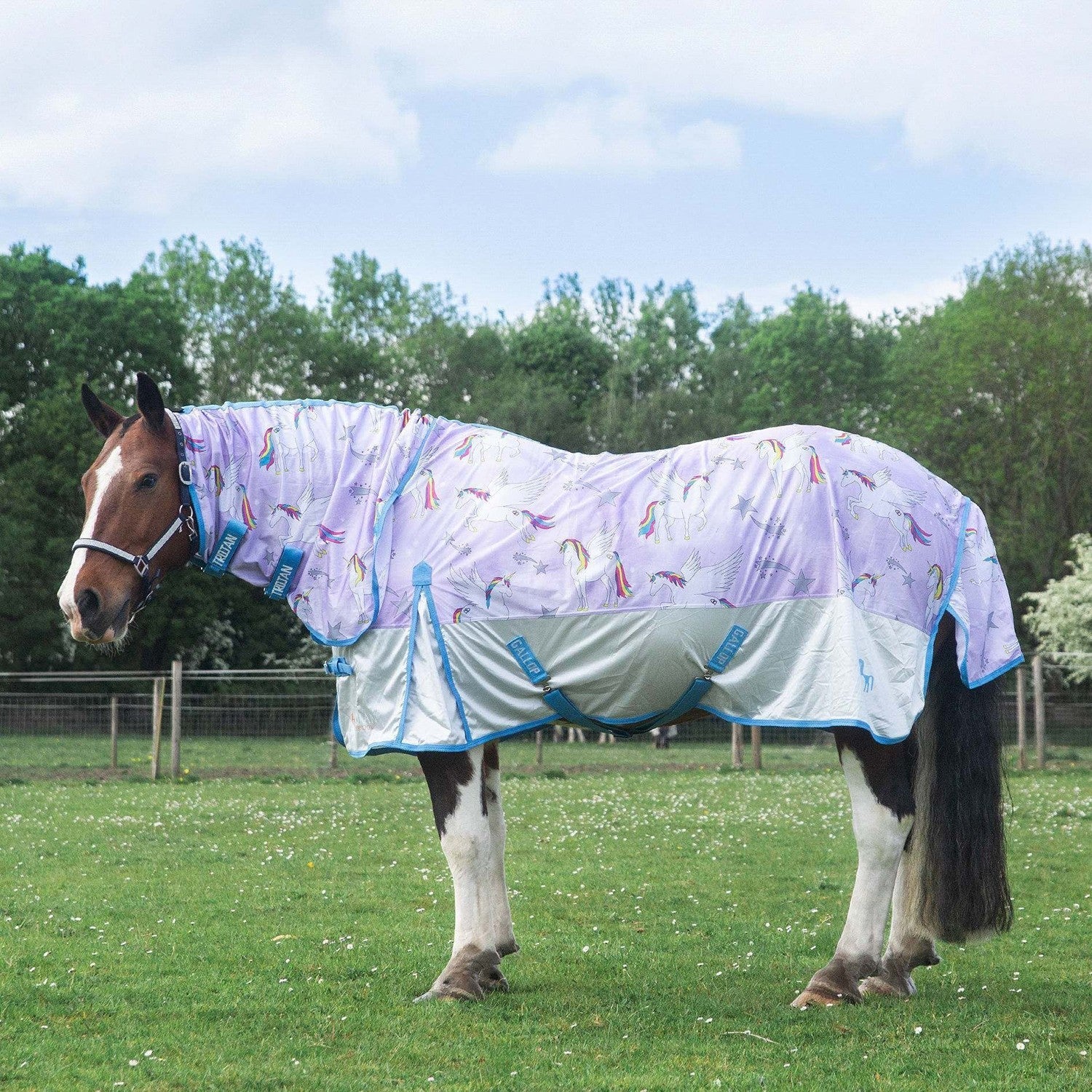 Gallop Trojan Combo Mesh Fly Rug Pegacorn - Nags Essentials