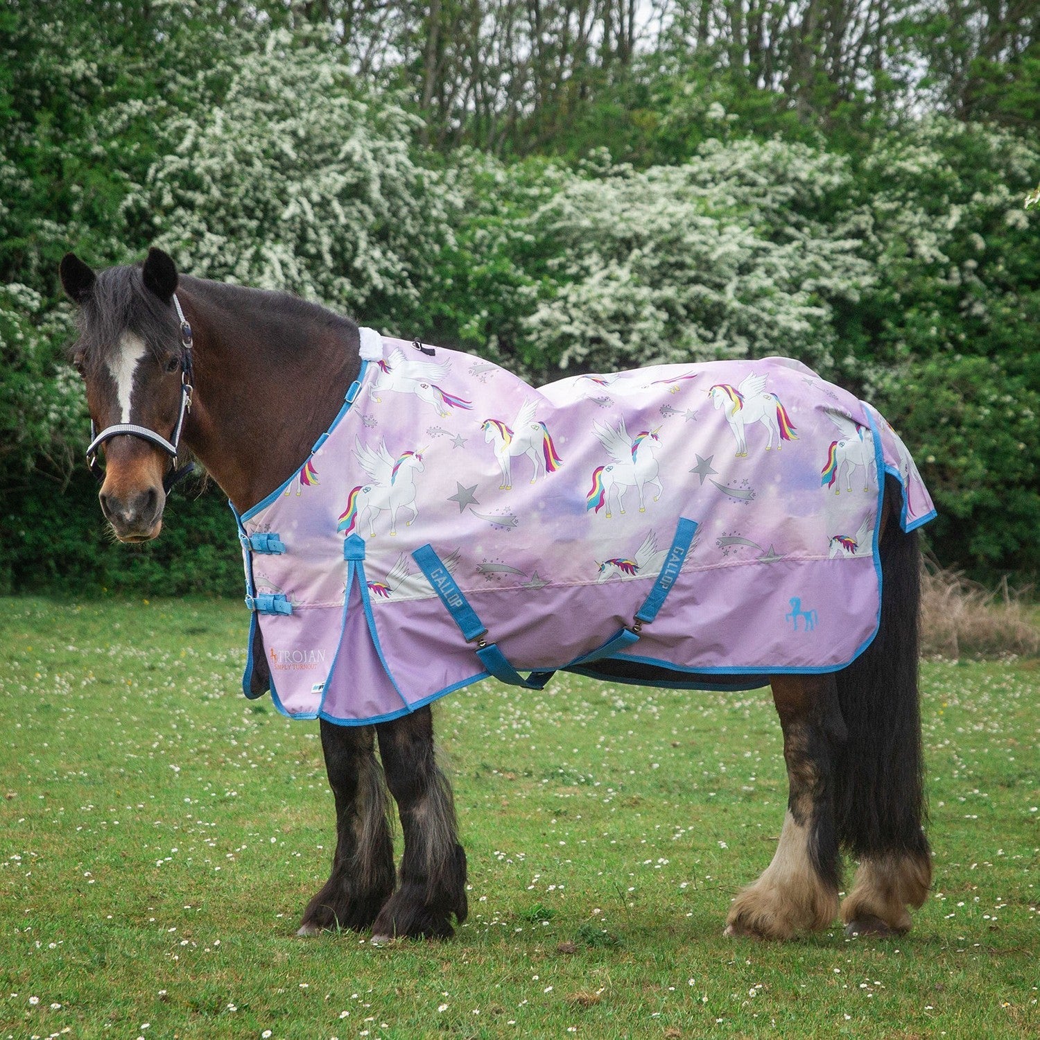 Gallop Trojan Duraproof 0g Lightweight Turnout Rug Pegacorn - Nags Essentials