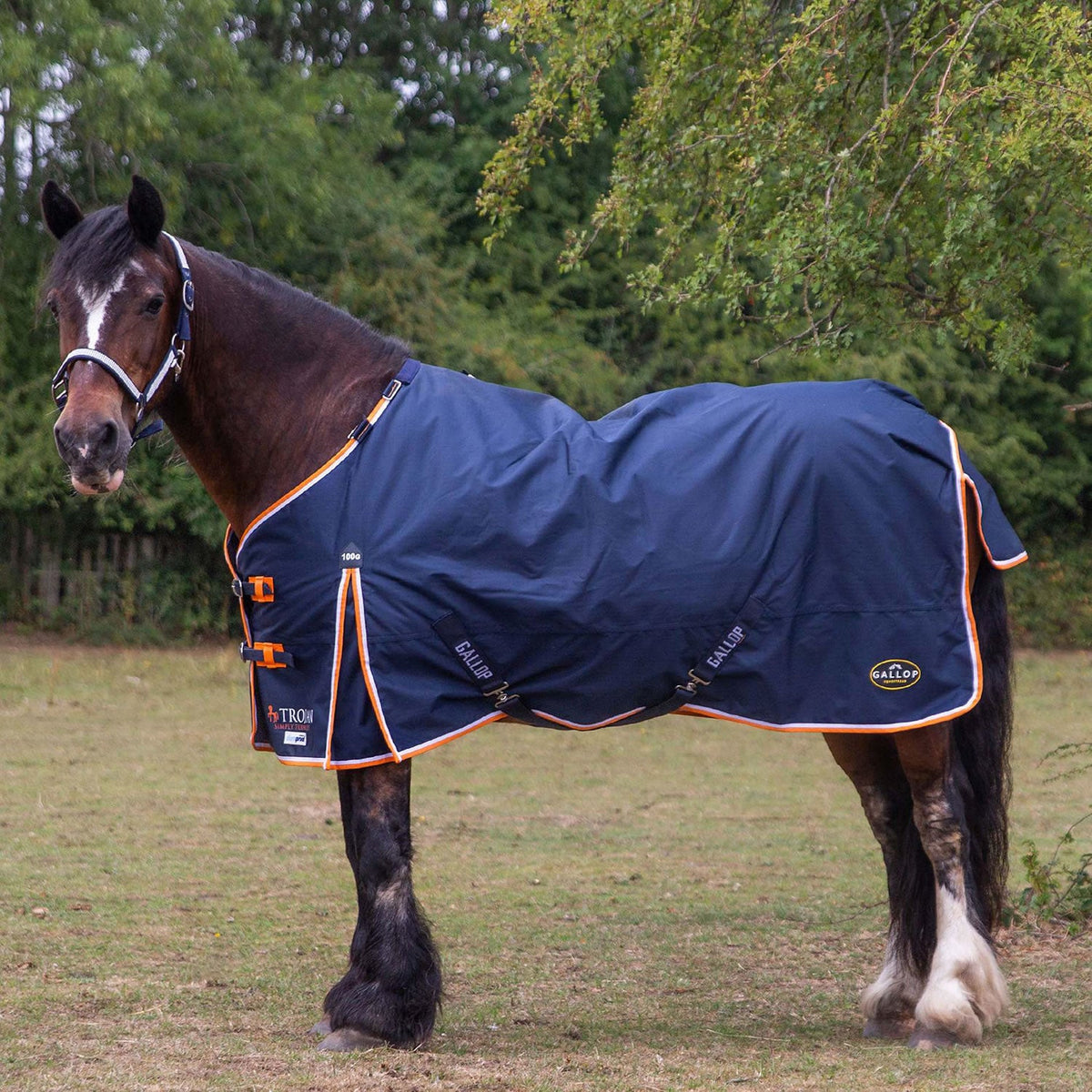 Gallop Trojan Duraproof 100g Turnout - Navy - Nags Essentials
