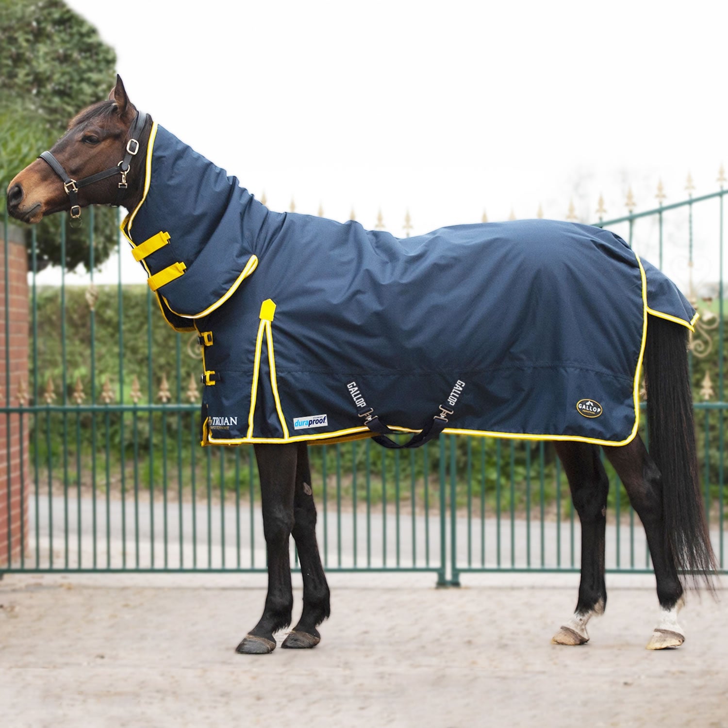 Gallop Trojan Duraproof 200g Turnout Combo - Navy - Nags Essentials