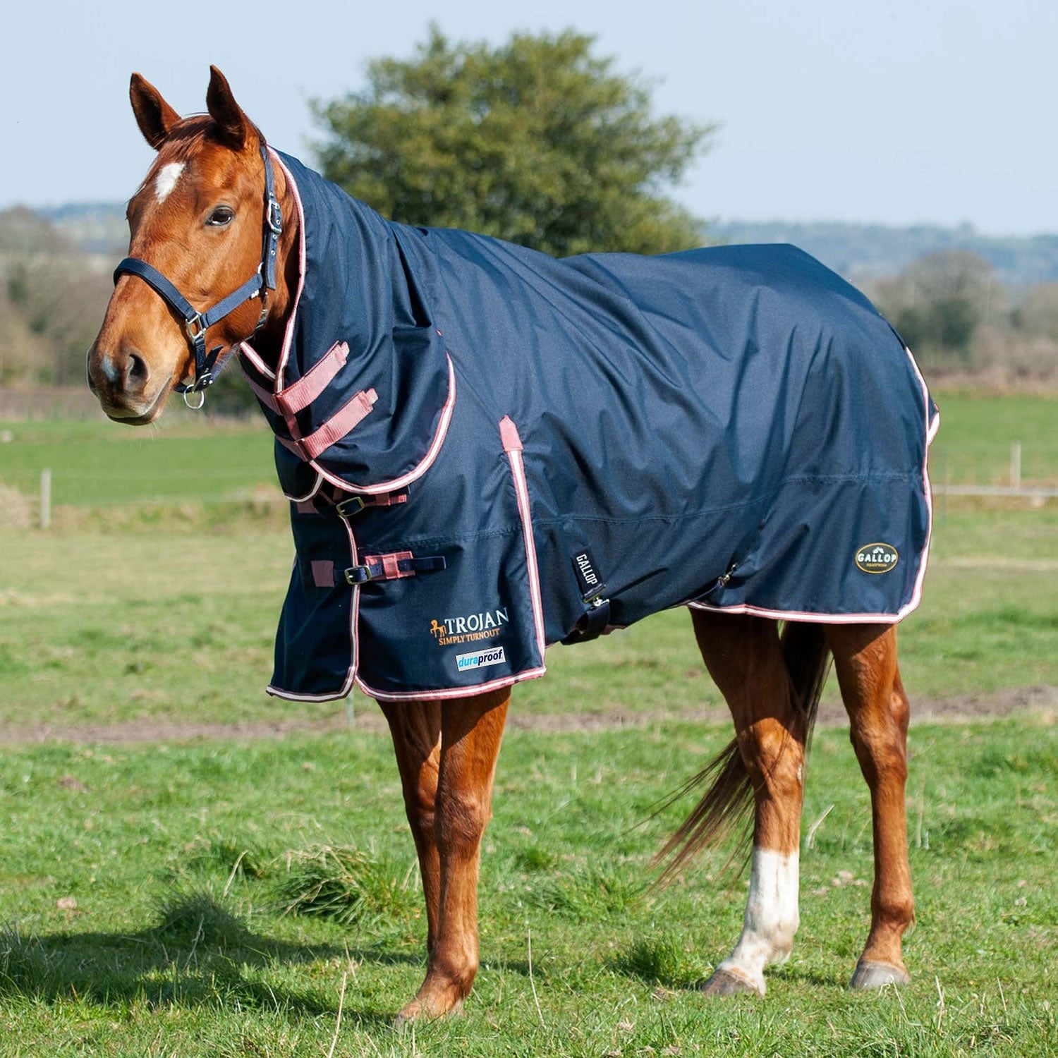 Gallop Trojan Duraproof 50g Turnout Combo - Navy - Nags Essentials
