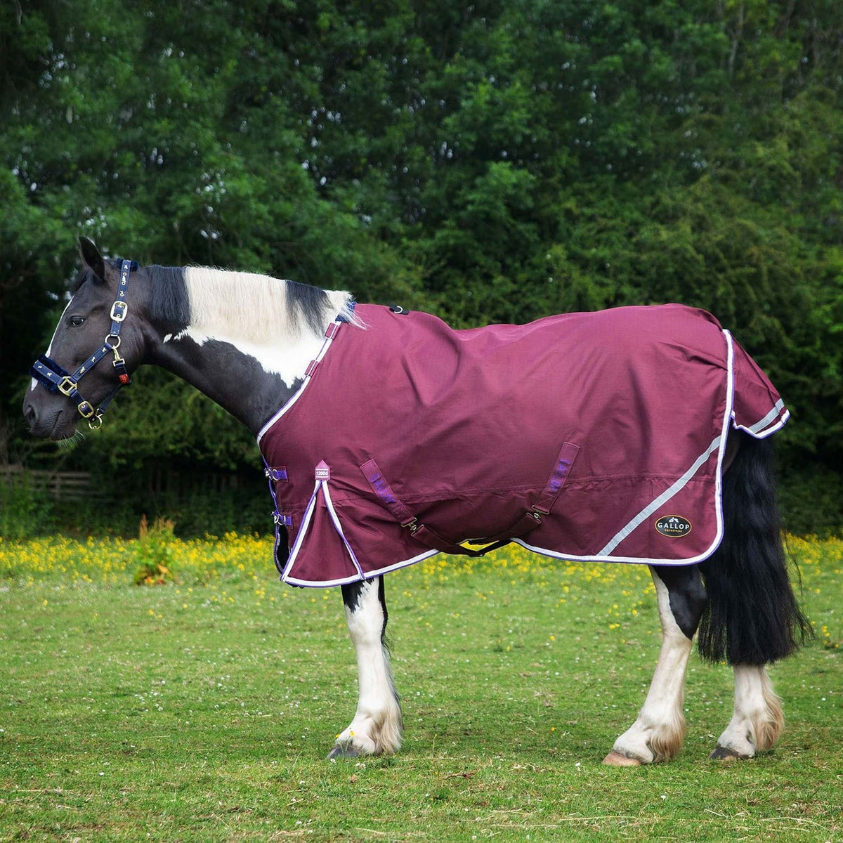 Gallop Trojan Xtra Duraproof 0g Lightweight Turnout Rug Burgundy - Nags Essentials