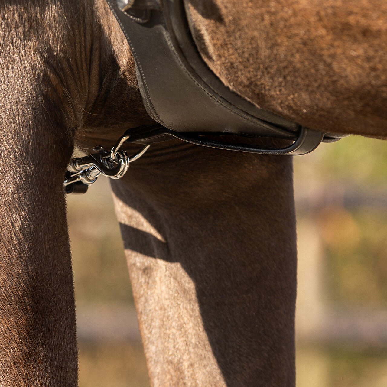 Girth Loop - Nags Essentials