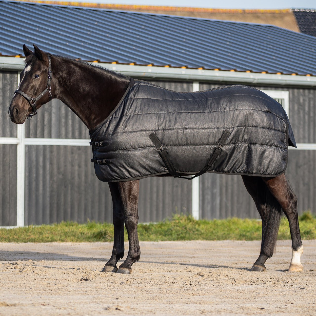 Glitter Stable Rug 150g - Nags Essentials